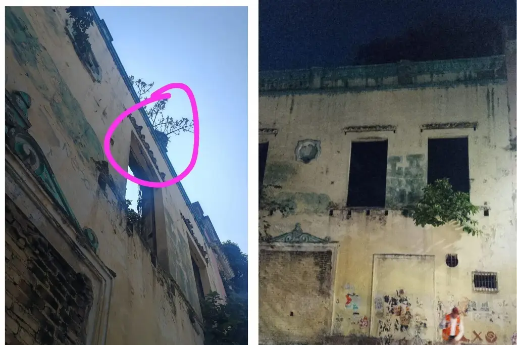 Imagen Maceta a punto de caer sobre parada de camiones en Veracruz… y esto pasó
