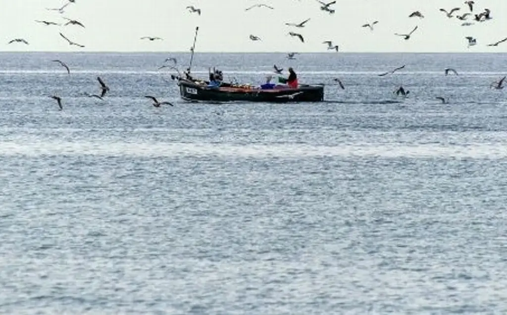 Imagen ¿Hay manchas de petróleo en playa de Vega de Alatorre, Veracruz? Esto dice Secretario de Turismo