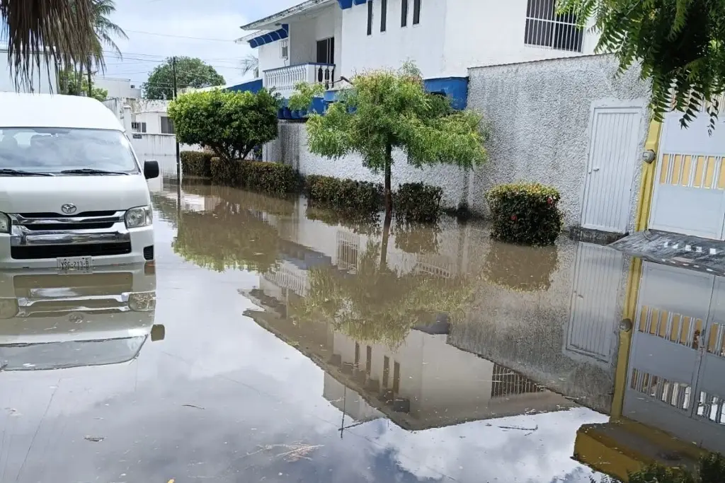 Imagen Lluvias con acumulados de 115 milímetros en el Floresta, según pluviómetro de vecinos