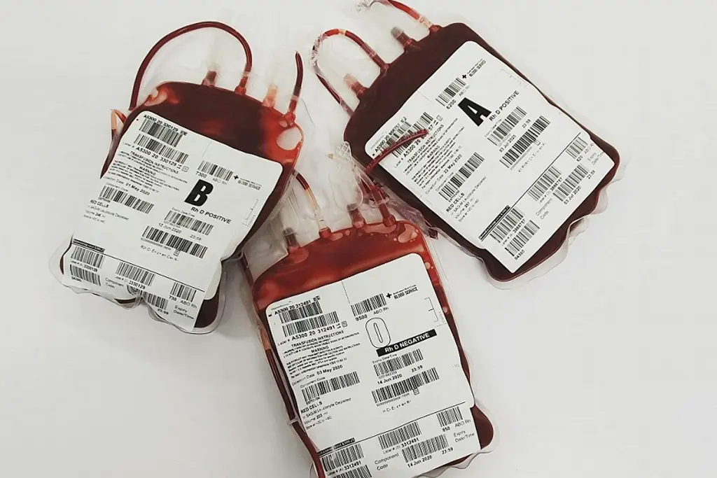 Imagen ¿Conoces el tipo de sangre más raro y difícil de conseguir en Veracruz?