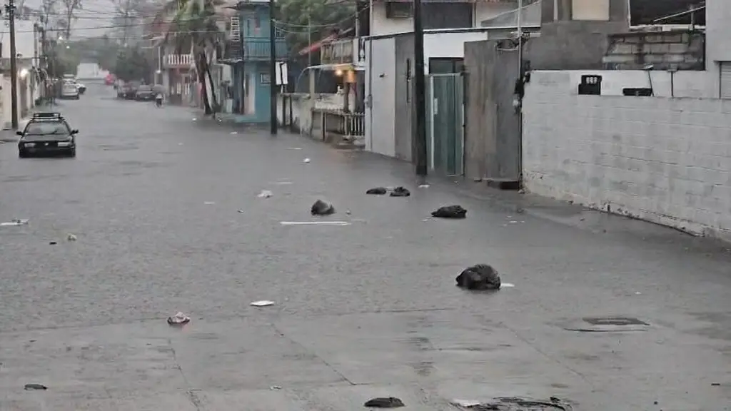 Imagen Caos vial en hora pico: las colonias de Boca del Río donde el agua complicó la circulación