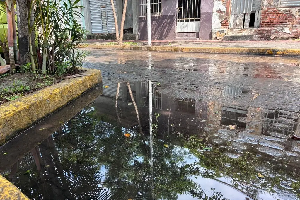 Imagen Brotan aguas negras en el centro de Veracruz; vecinos se quejan