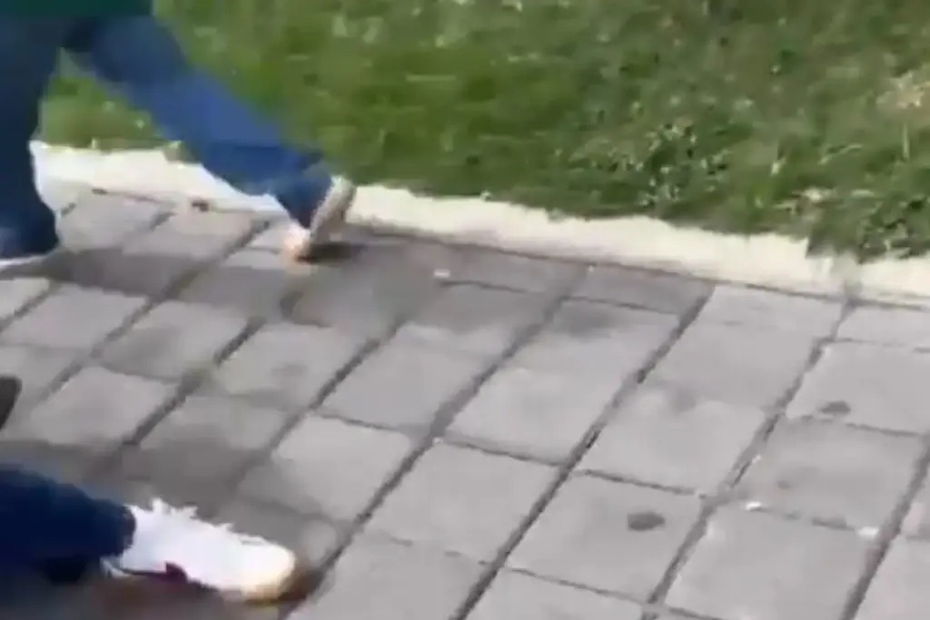 Imagen Conducía ebria en área restringida y con sus pequeños hijos (+Video)