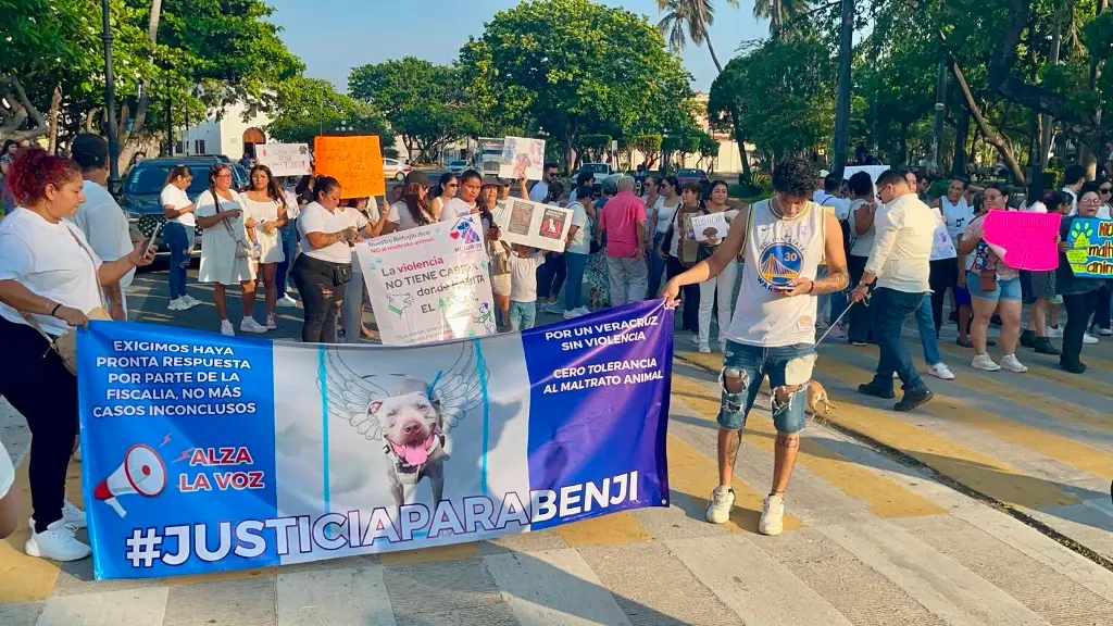 Imagen Marchan por Benji en Veracruz; piden justicia por perro asesinado 