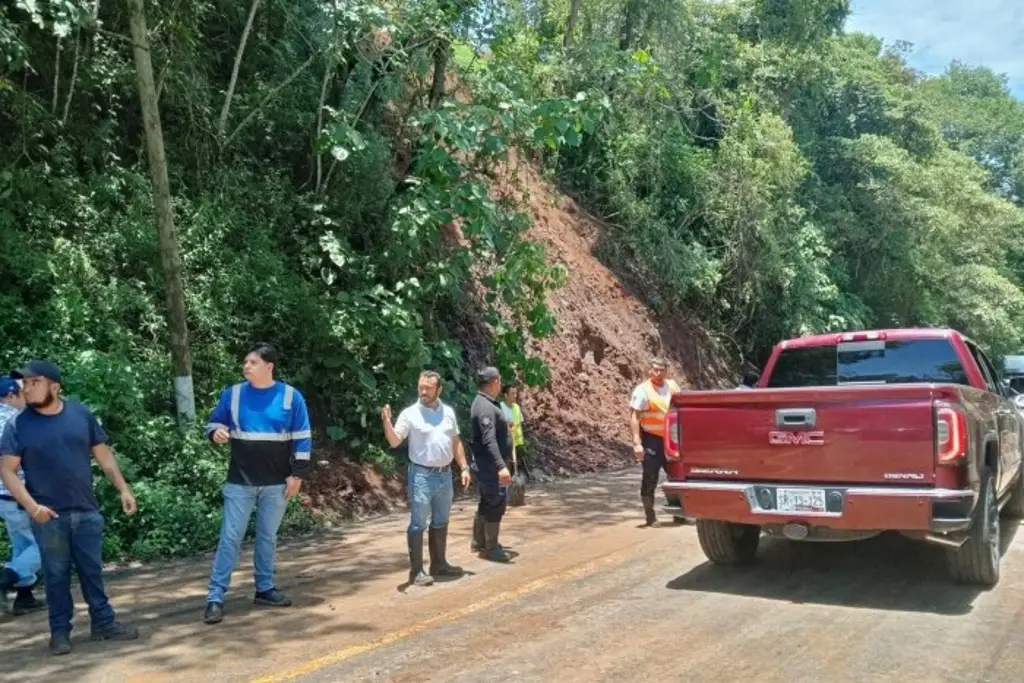Imagen ¿Reabrieron la carretera Naolinco - Xalapa tras derrumbe? Esto se sabe 