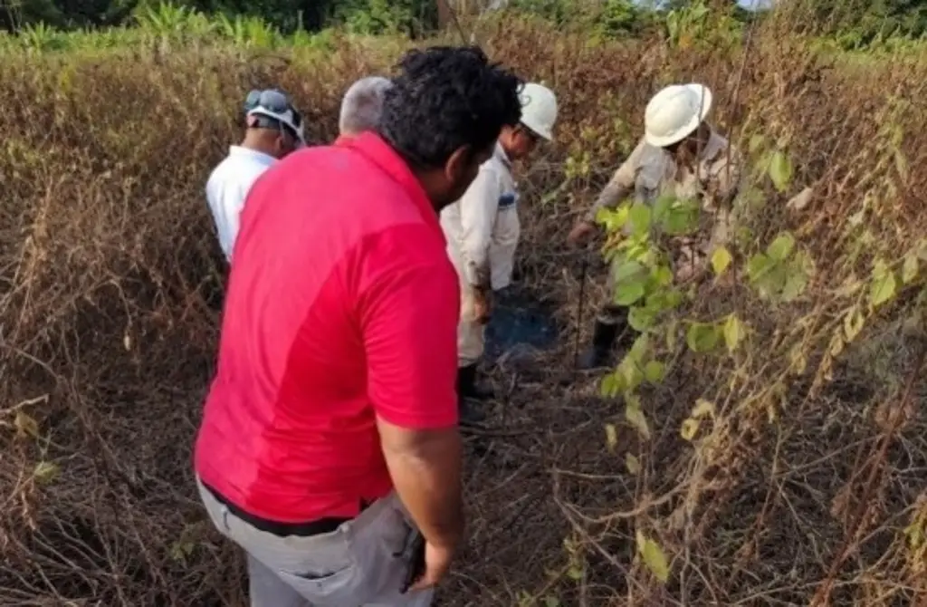 Imagen Detectan derrame de petróleo al sur de Veracruz 
