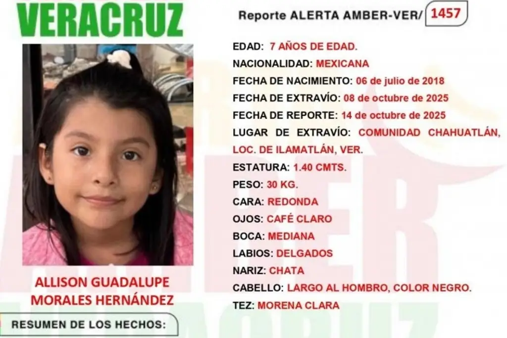 Imagen Sigue desaparecida niña de 7 años tras inundaciones de octubre al norte de Veracruz 