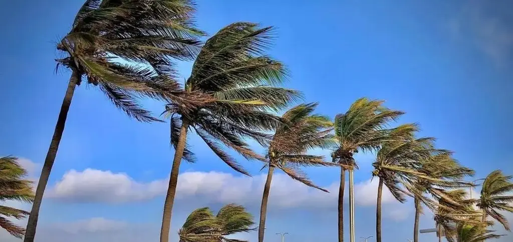 Imagen Prevén surada con rachas de hasta 70 km/h en Veracruz 