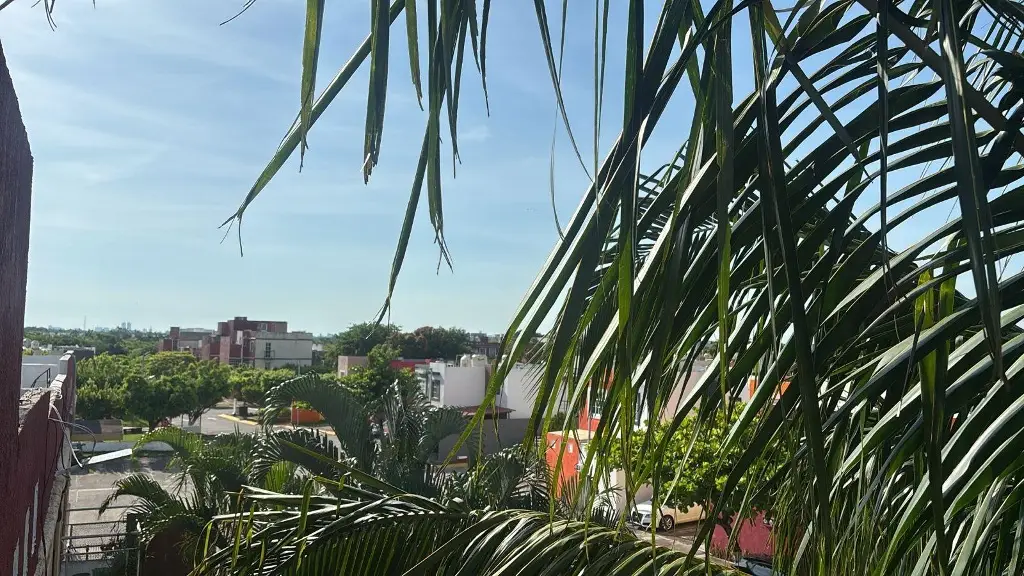 Imagen Misterio en la zona conurbada: ¿A qué huele en Veracruz, Boca del Río y Medellín?
