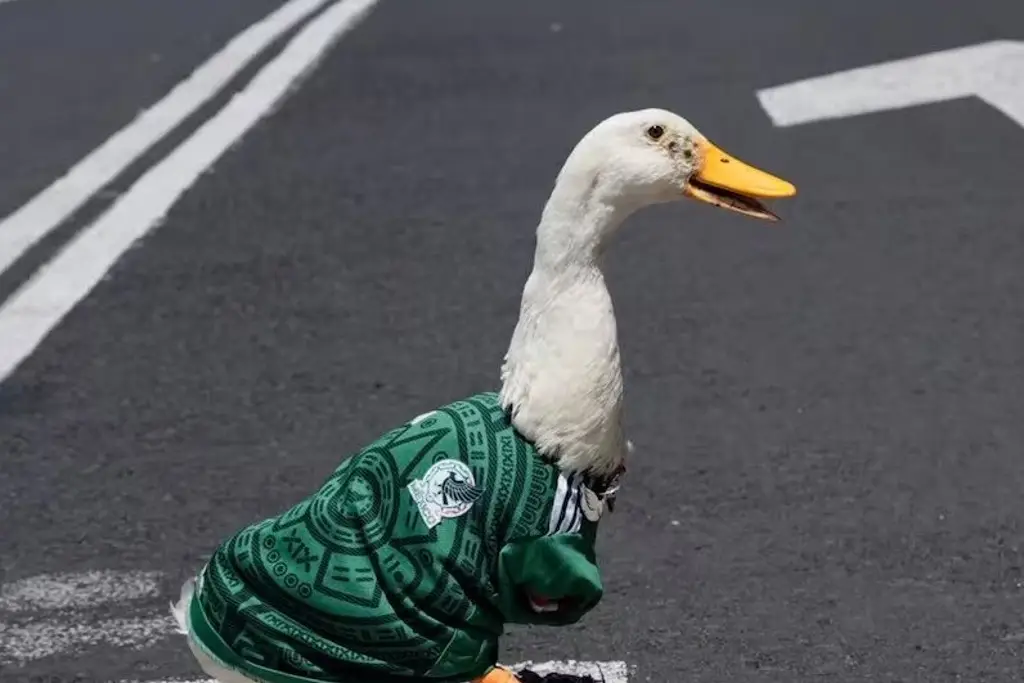 Nacional