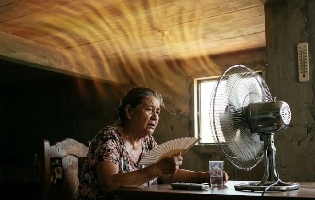 Imagen ¿Por dónde entra la mayor parte del calor a las casas de Veracruz?