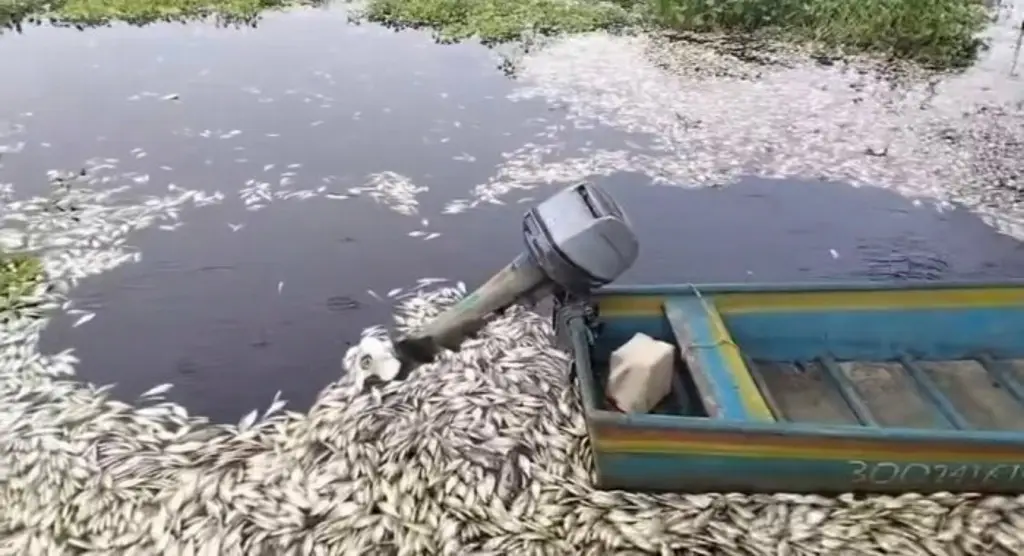 Veracruz
