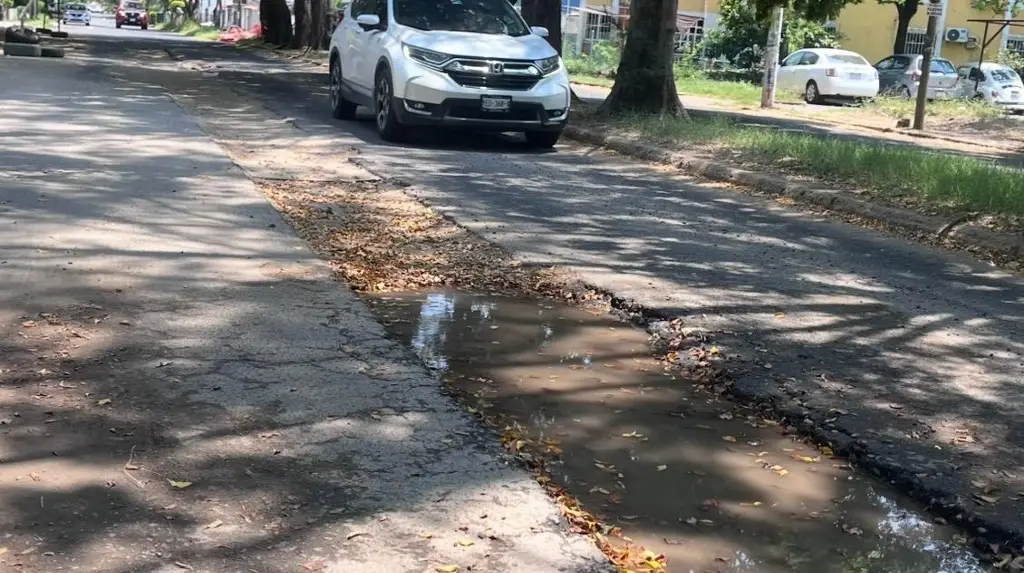 Imagen Reportan pésimo estado de las calles en el floresta