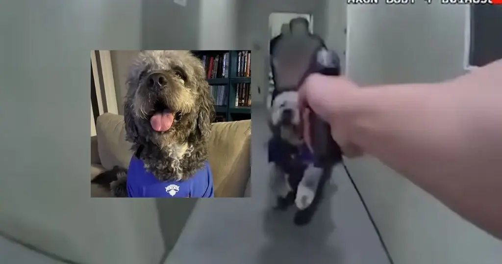Imagen Revelan video del momento que policía de Los Ángeles mató a un perro a balazos