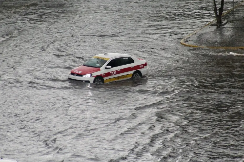 Imagen Lluvias en Veracruz: guía para manejar seguro esta semana