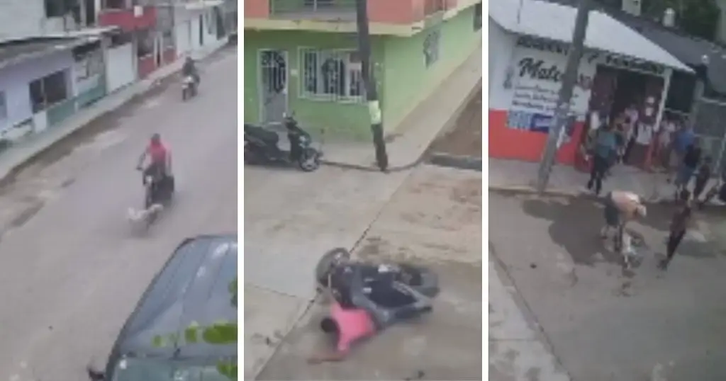 Imagen ¿Karma? Motociclista sin casco atropella a perrito y sufre fuerte accidente después (VIDEO)