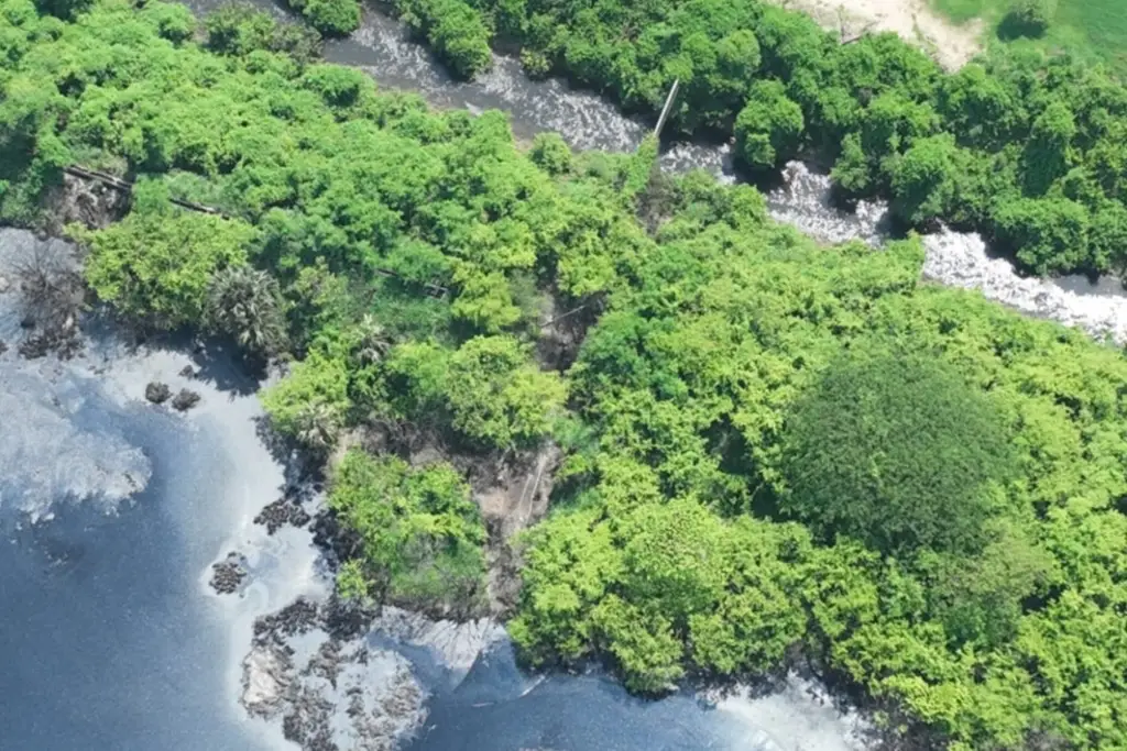 Imagen Demandan pescadores el saneamiento del río Papaloapan tras contaminación