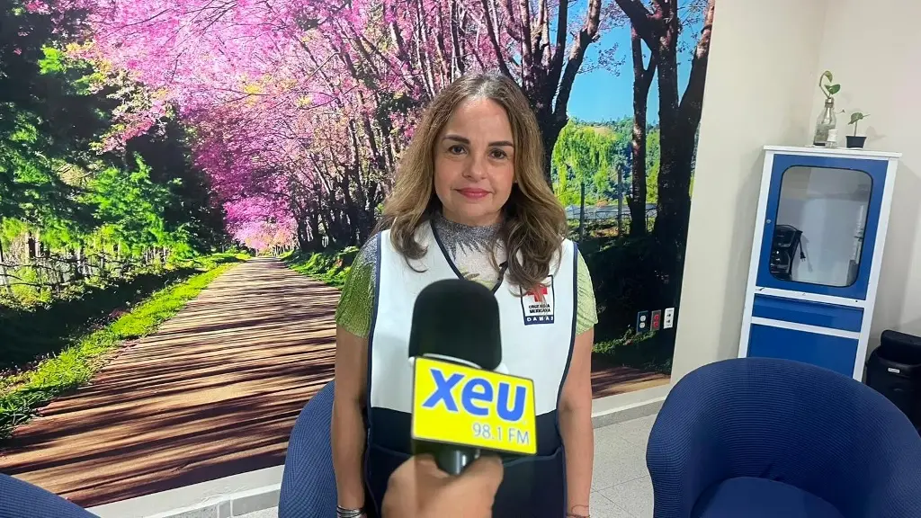 Imagen Cada vez más veracruzanos buscan herramientas para cuidar su salud mental.