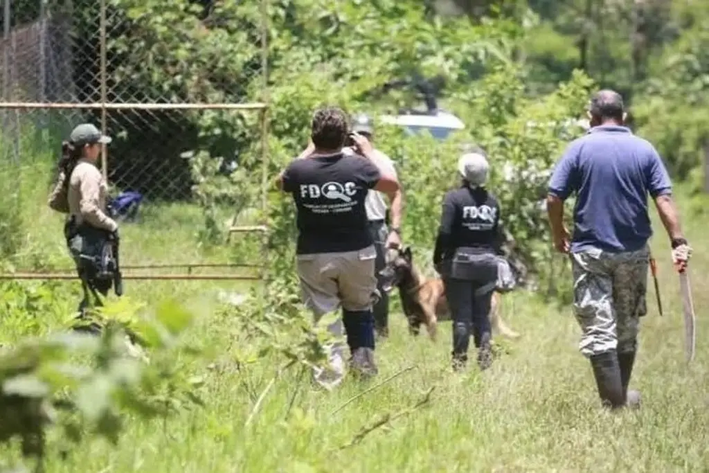 Imagen Colectivos aplazan búsquedas de desaparecidos por este motivo en Veracruz
