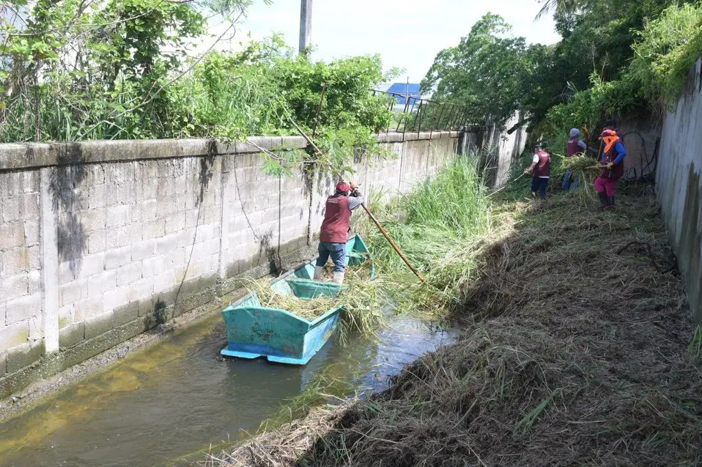 Imagen Ayuntamiento de Veracruz intensifica limpieza de canales