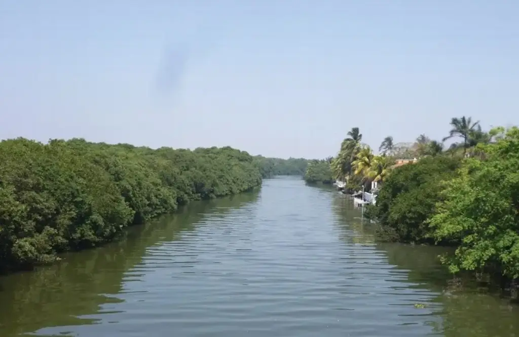 Imagen Acusan a CFE de presuntamente derramar químicos en ríos de Boca del Río