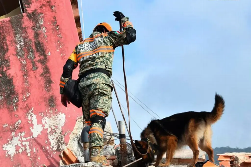 Imagen México envía plantas eléctricas de emergencia y prepara barco con ayuda para Venezuela