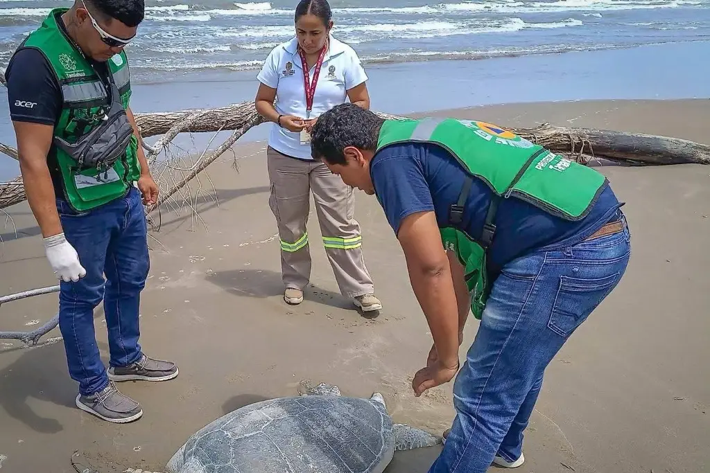 Veracruz