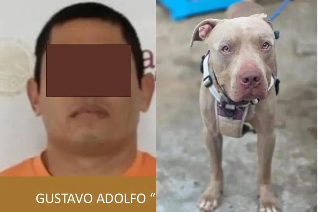 Imagen Dan prisión a  hombre acusado de matar a 'Benji' en colonia de Veracruz 