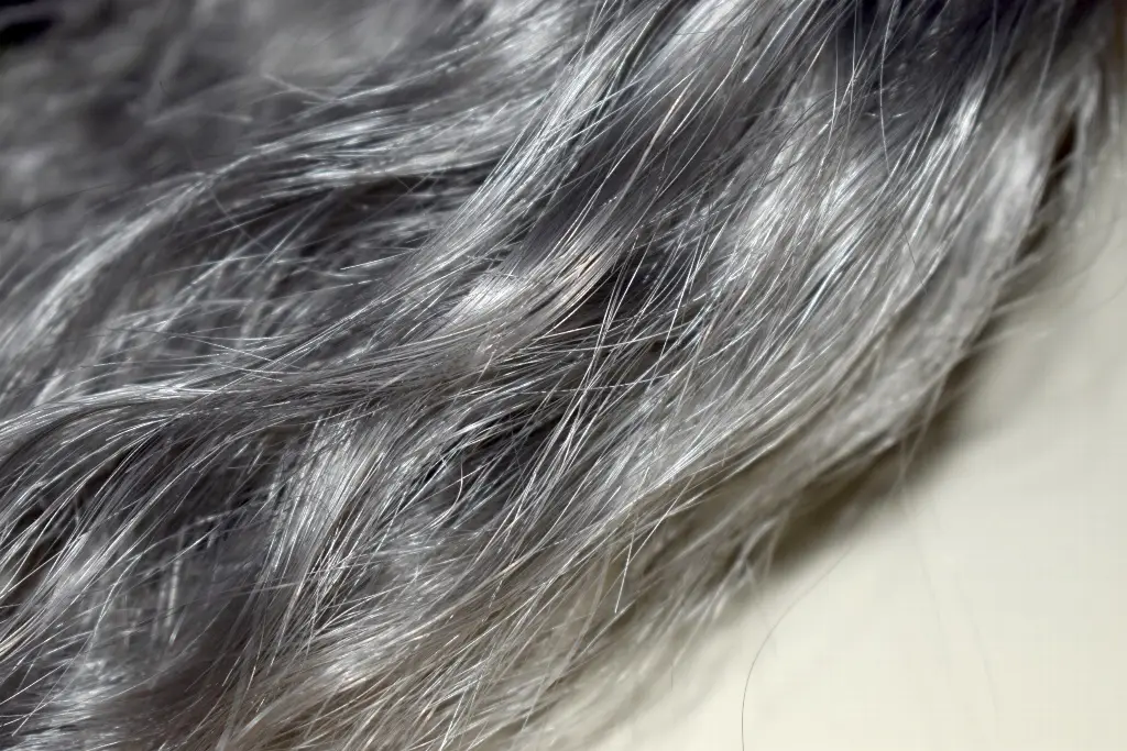 Imagen ¿Por qué salen las canas? Médico explica las causas y desmiente algunos mitos