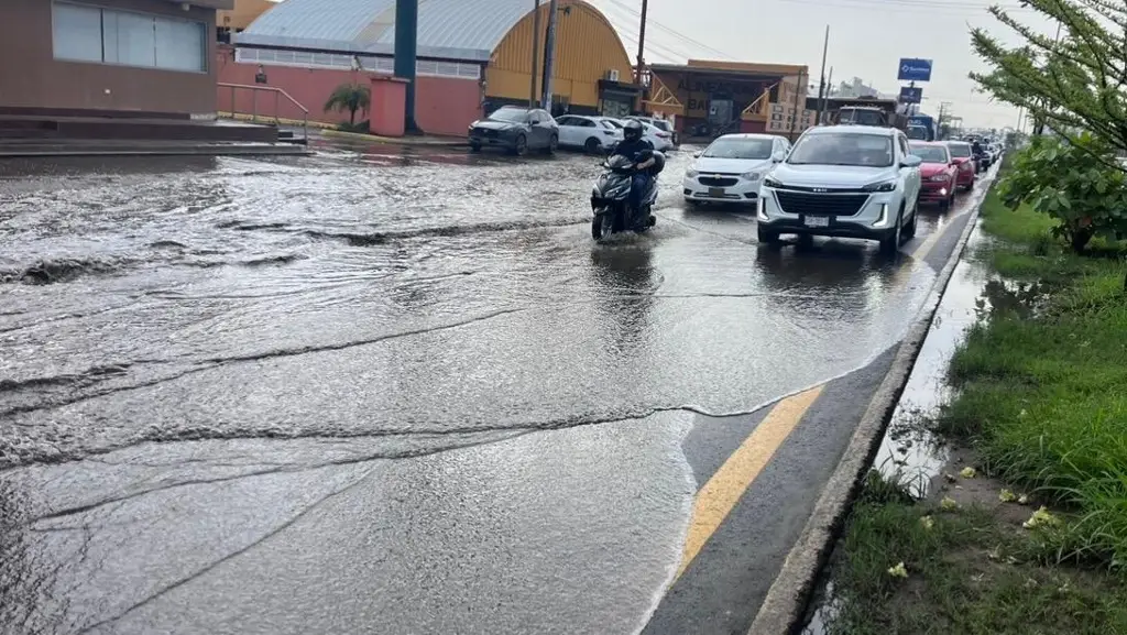Imagen Caos vial en la carretera federal por encharcamiento