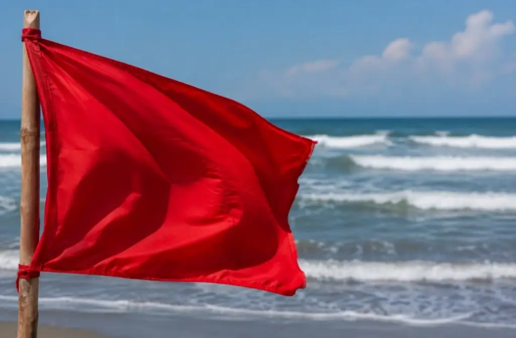 Imagen ¿Qué significan las señaléticas y boyas en las playas de Veracruz? 