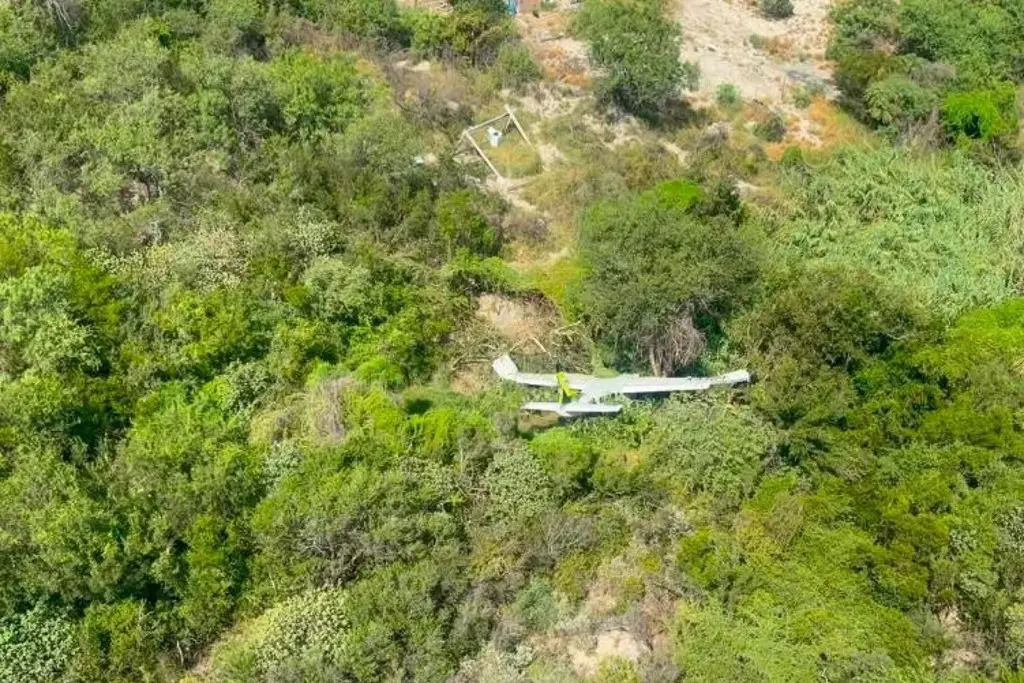 Imagen Se desploma avioneta en Nuevo León; rescatan a personas lesionadas