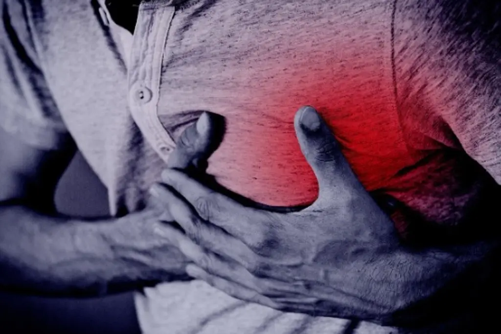 Imagen Encuentran vínculo entre microplásticos en sangre y aumento de riesgo cardiovascular