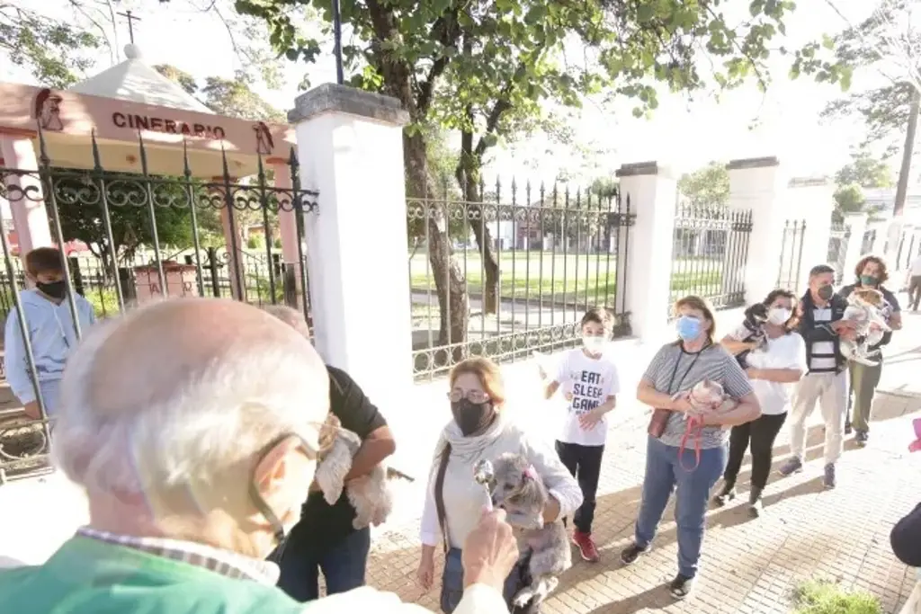 Imagen Expo Adopta 2026 en Veracruz: encuentra a tu mascota este día y a esta hora ¿Dónde?