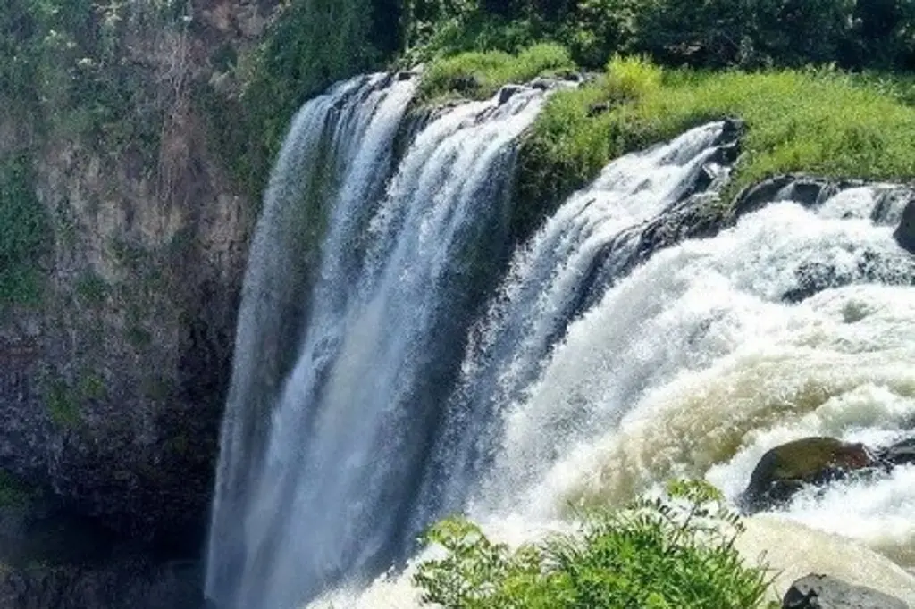 Imagen Vinculan a proceso a 11 personas por presunto despojo en Salto de Eyipantla