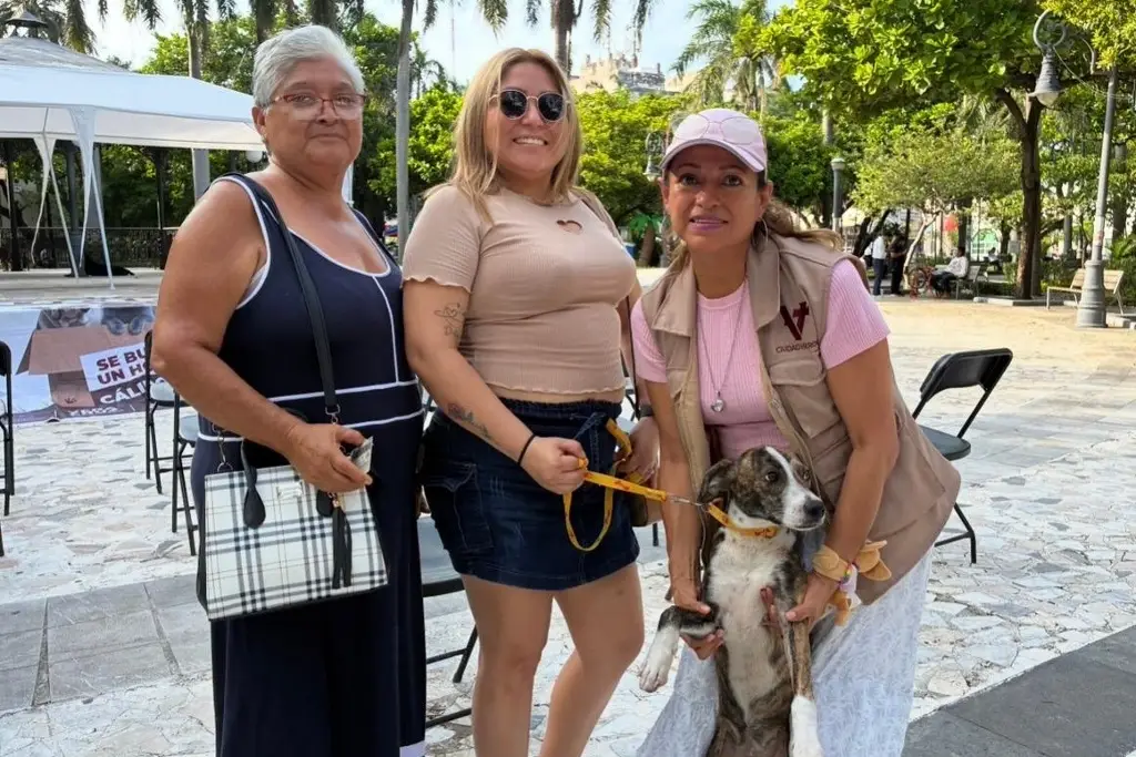 Imagen Milanesa no esperó a ser adoptada: ella eligió a la familia con la que quería vivir 
