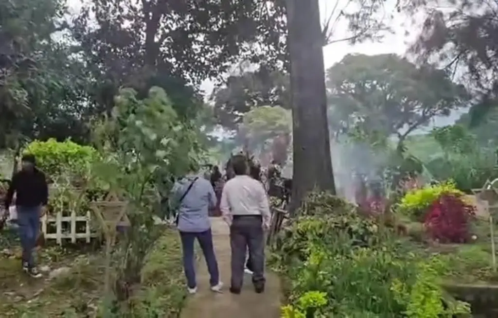 Imagen Abejas atacan a 30 personas en panteón en Rafael Delgado, Veracruz; así ocurrió 