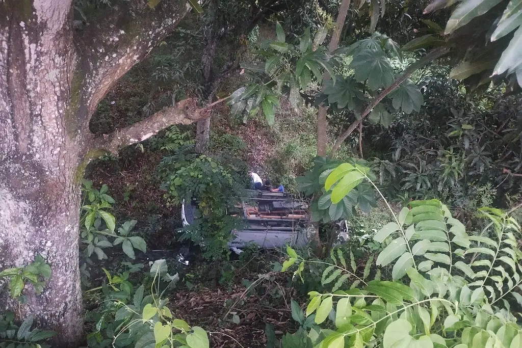 Imagen Muere en accidente sobre carretera de Veracruz; reportan que era familiar de un alcalde