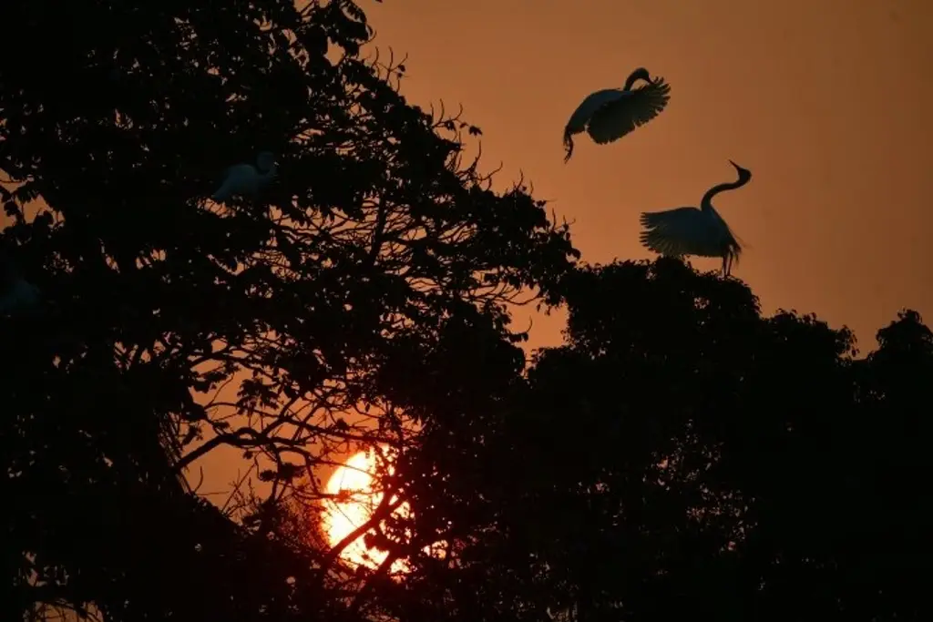 Imagen Reportan 4 muertes por calor en Veracruz en el 2026