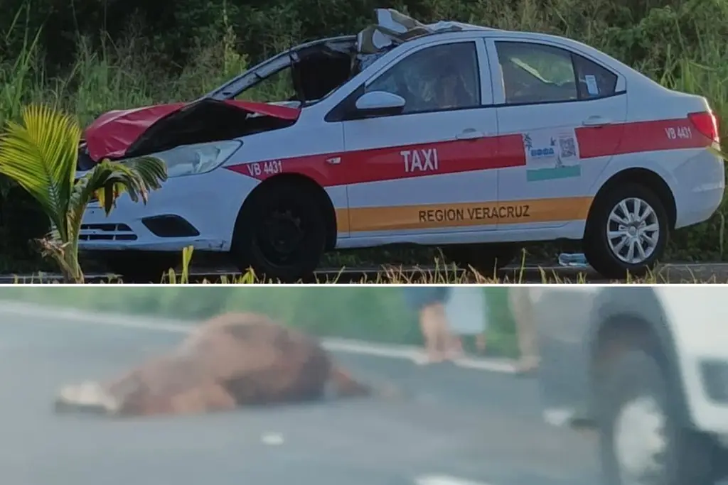 Policiaca