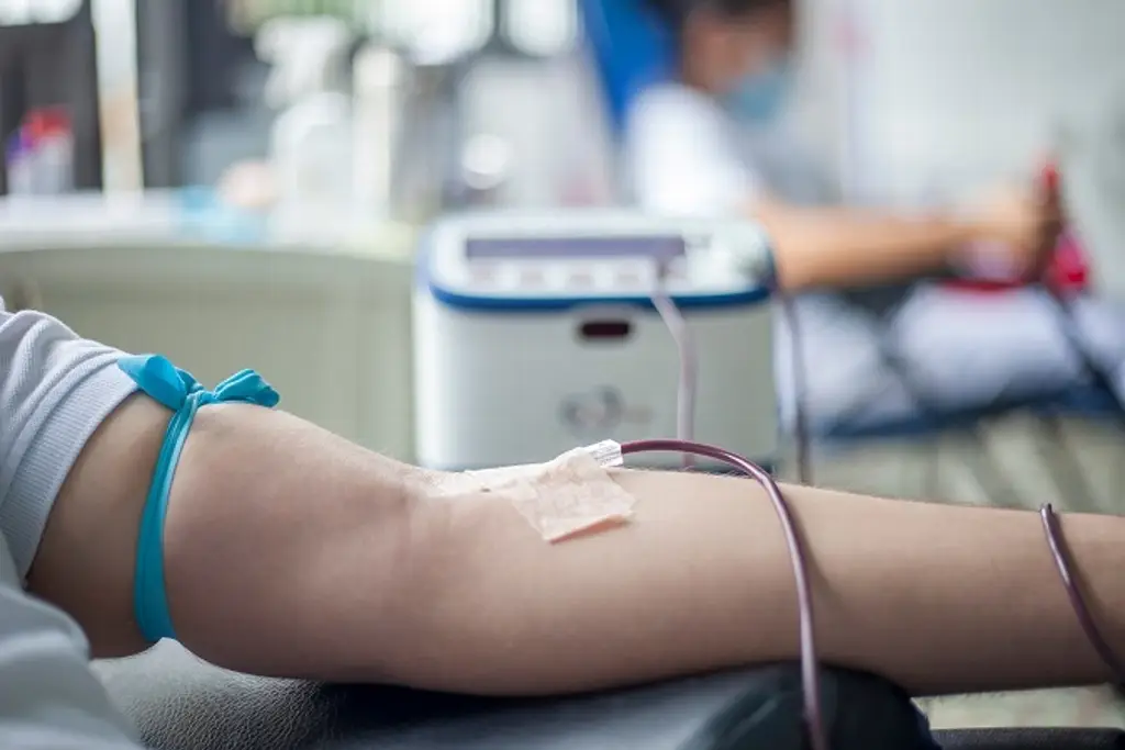 Imagen ¿Crees que donar sangre engorda? Alertan por mitos que frenan la donación altruista