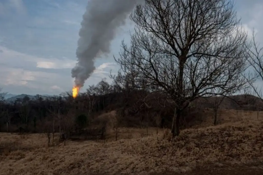 Imagen Daños ambientales por fugas en pozo Krem-1 'van para largo': regidora de Las Choapas