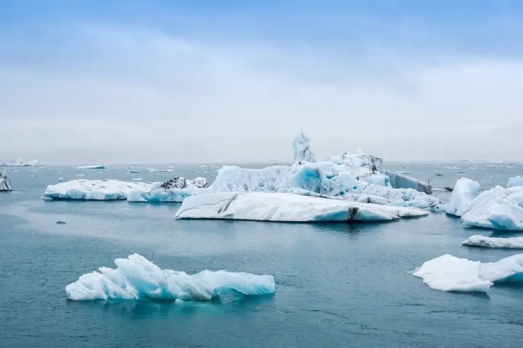 Imagen El hielo invernal del Ártico vuelve a disminuir drásticamente, revela estudio 
