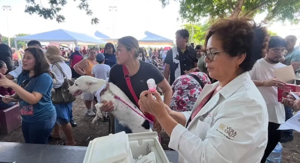 Imagen Vacunas, adopciones y carrera canina: así se vive la Feria de la Salud Animal en Veracruz