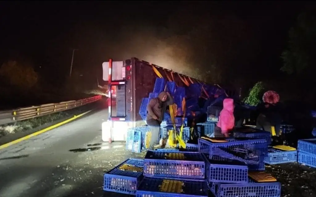 Imagen Caos en la autopista tras volcadura de un tráiler cargado con pollos vivos