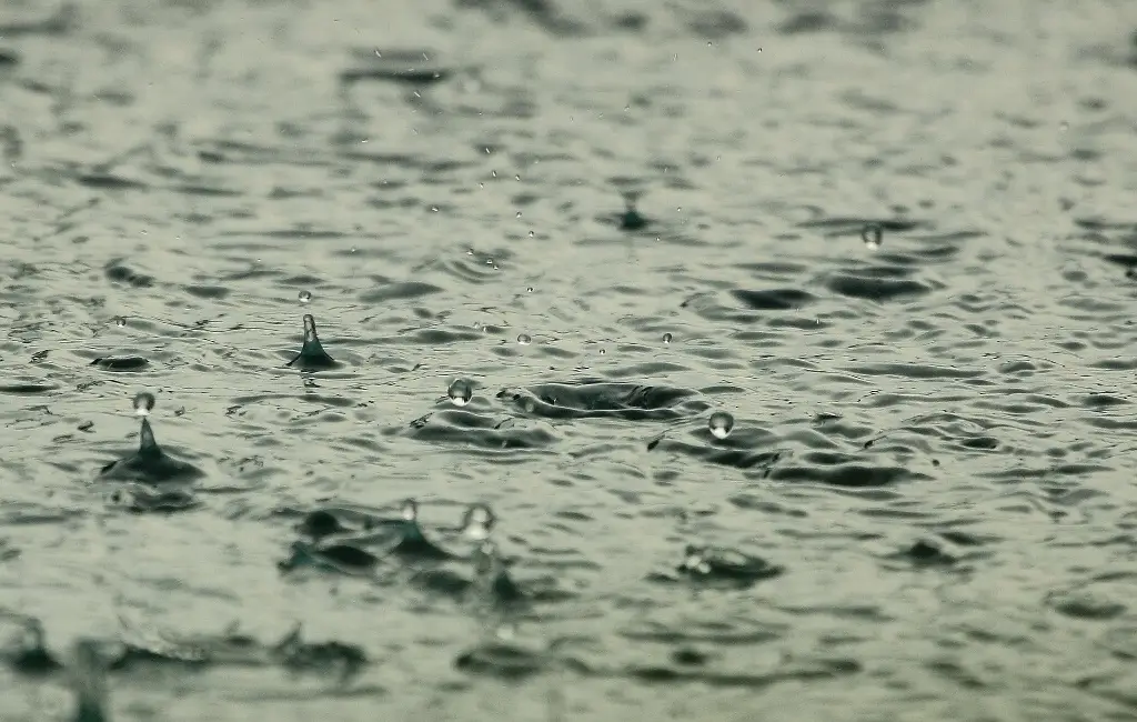 Imagen PC prevé aumento en potencial de lluvias y tormentas para Veracruz; conoce cuándo 
