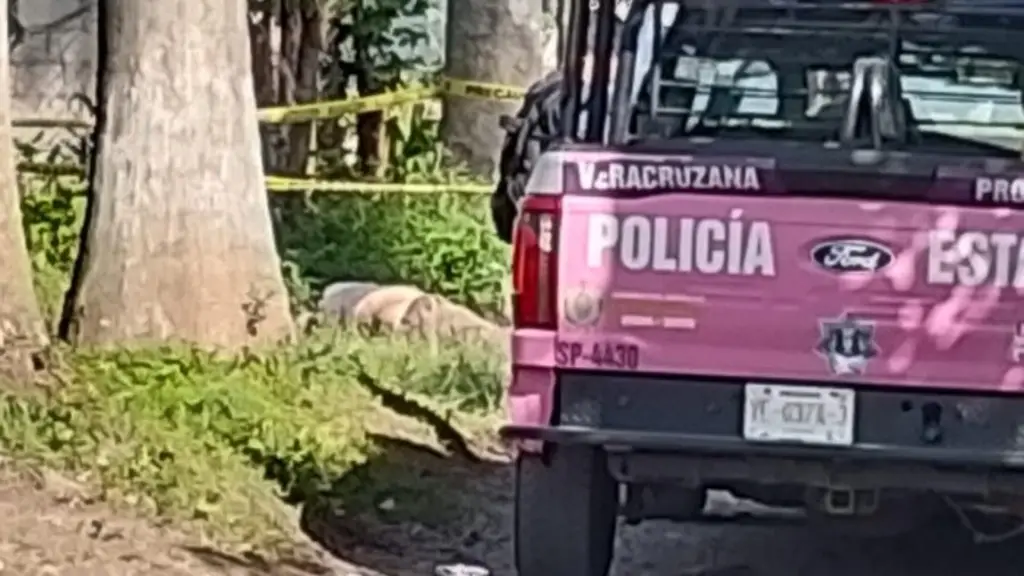 Imagen Hallan sin vida a mecánico en camino de terracería de Amatlán, Veracruz 