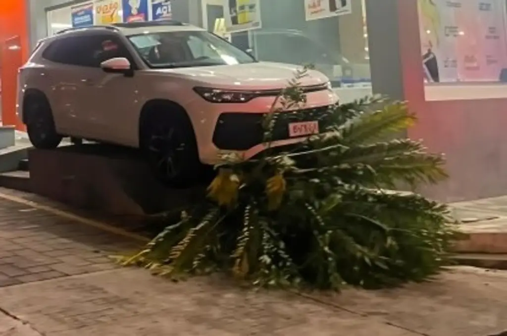 Imagen ¿Cómo acabó ahí? Choca contra palmera en estacionamiento en Mariano Escobedo, Veracruz