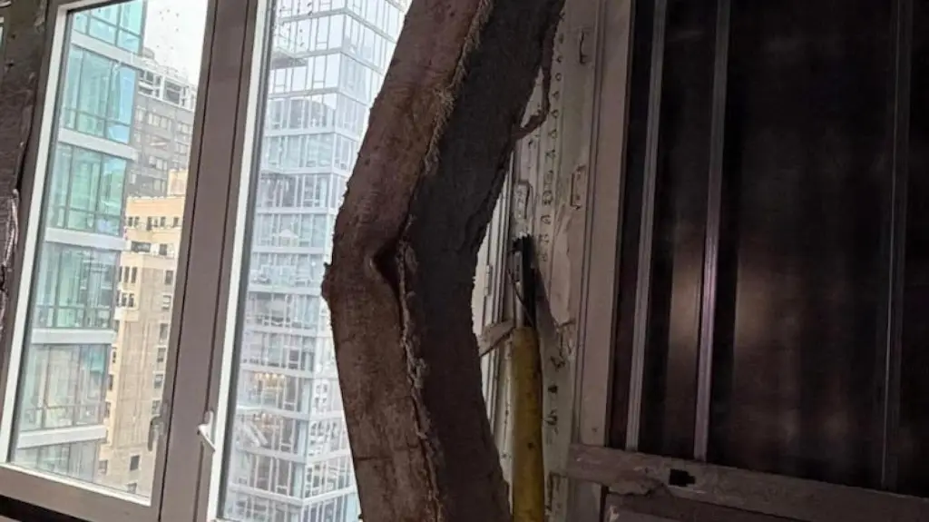 Imagen Nueva York aumenta revisiones tras incidente con edificio a punto de colapsar