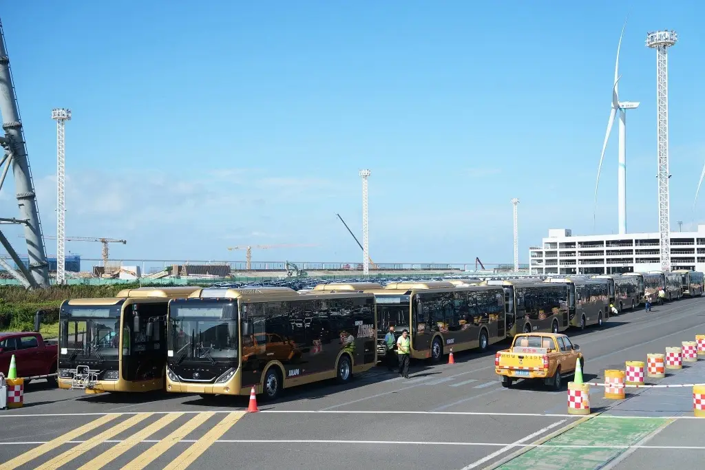 Imagen Nuevos autobuses Atenas y Totonaco ya están en aduana; alistan su envío a Veracruz